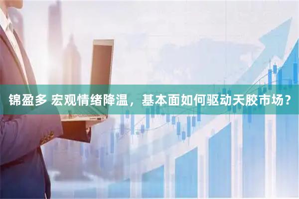 锦盈多 宏观情绪降温，基本面如何驱动天胶市场？
