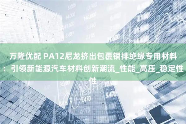 万隆优配 PA12尼龙挤出包覆铜排绝缘专用材料：引领新能源汽车材料创新潮流_性能_高压_稳定性