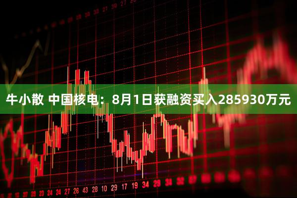 牛小散 中国核电：8月1日获融资买入285930万元