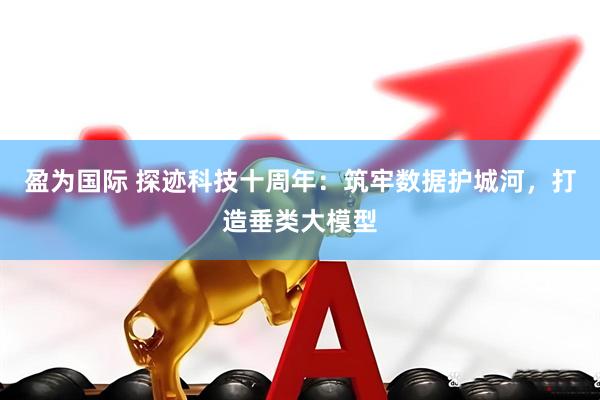 盈为国际 探迹科技十周年：筑牢数据护城河，打造垂类大模型