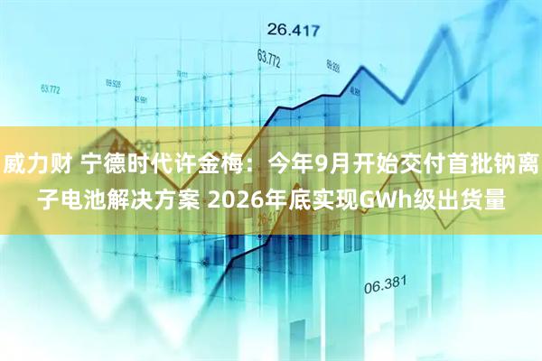 威力财 宁德时代许金梅：今年9月开始交付首批钠离子电池解决方案 2026年底实现GWh级出货量