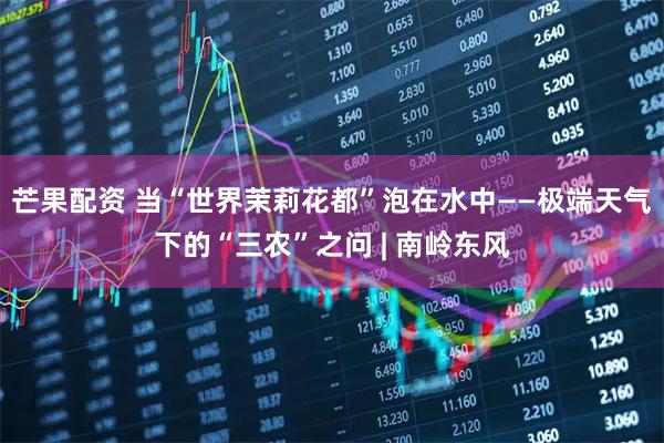 芒果配资 当“世界茉莉花都”泡在水中——极端天气下的“三农”之问 | 南岭东风